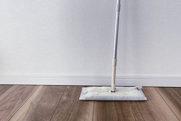 Limpeza pré mudança Curitiba